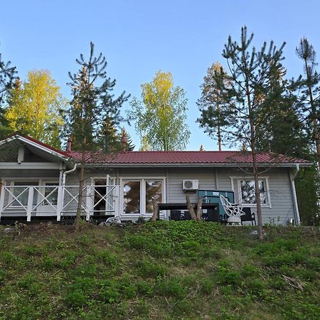 Valentin Cottage Enonkoski Exterior photo